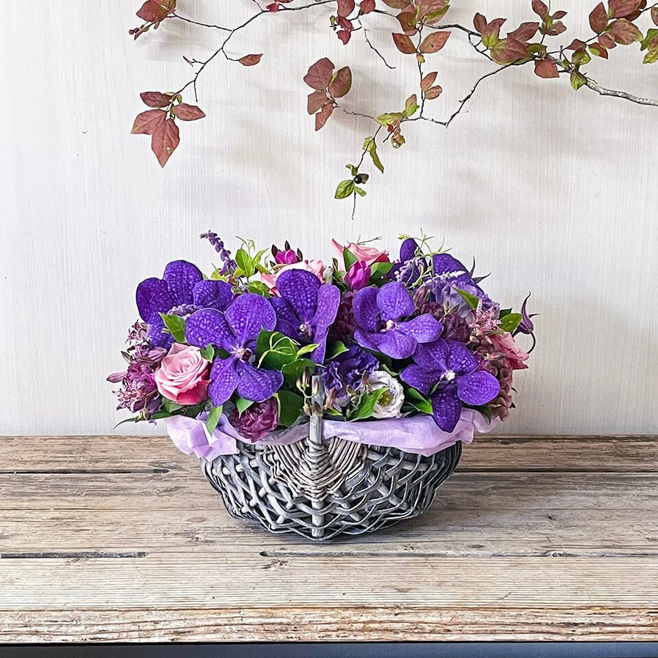 お花ちゃんのこころ    ⑥紫ミックス おはこころちゃん！💜💜💜 今日は11月17日！！月曜日🌙！ 週末が終わっ