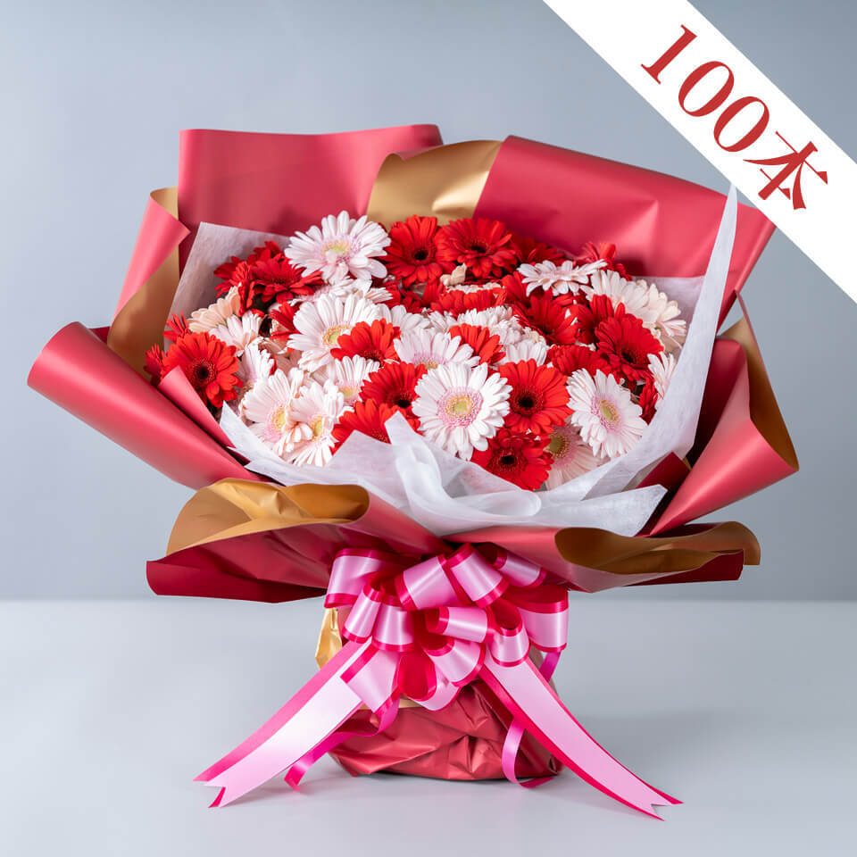 ガーベラ　15本セット ガーベラ100本の花束｜広島花屋オンラインショップ花将