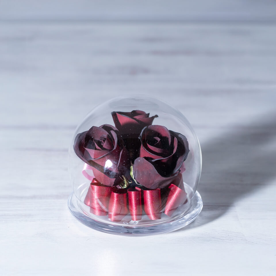 赤バラ】の立体保存加工｜ガラスドーム②スモール【決済専用商品