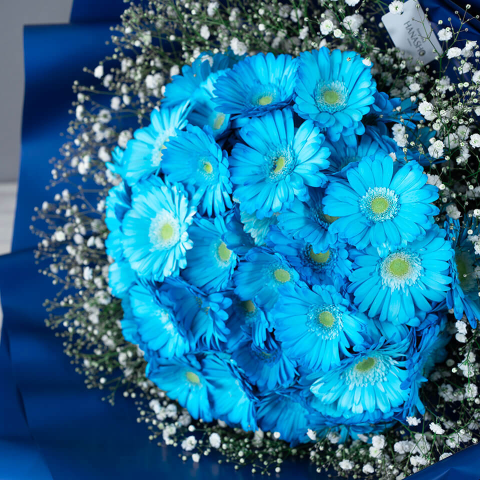 青ガーベラ100本の花束(かすみ草入り) | 広島花屋オンラインショップ花将