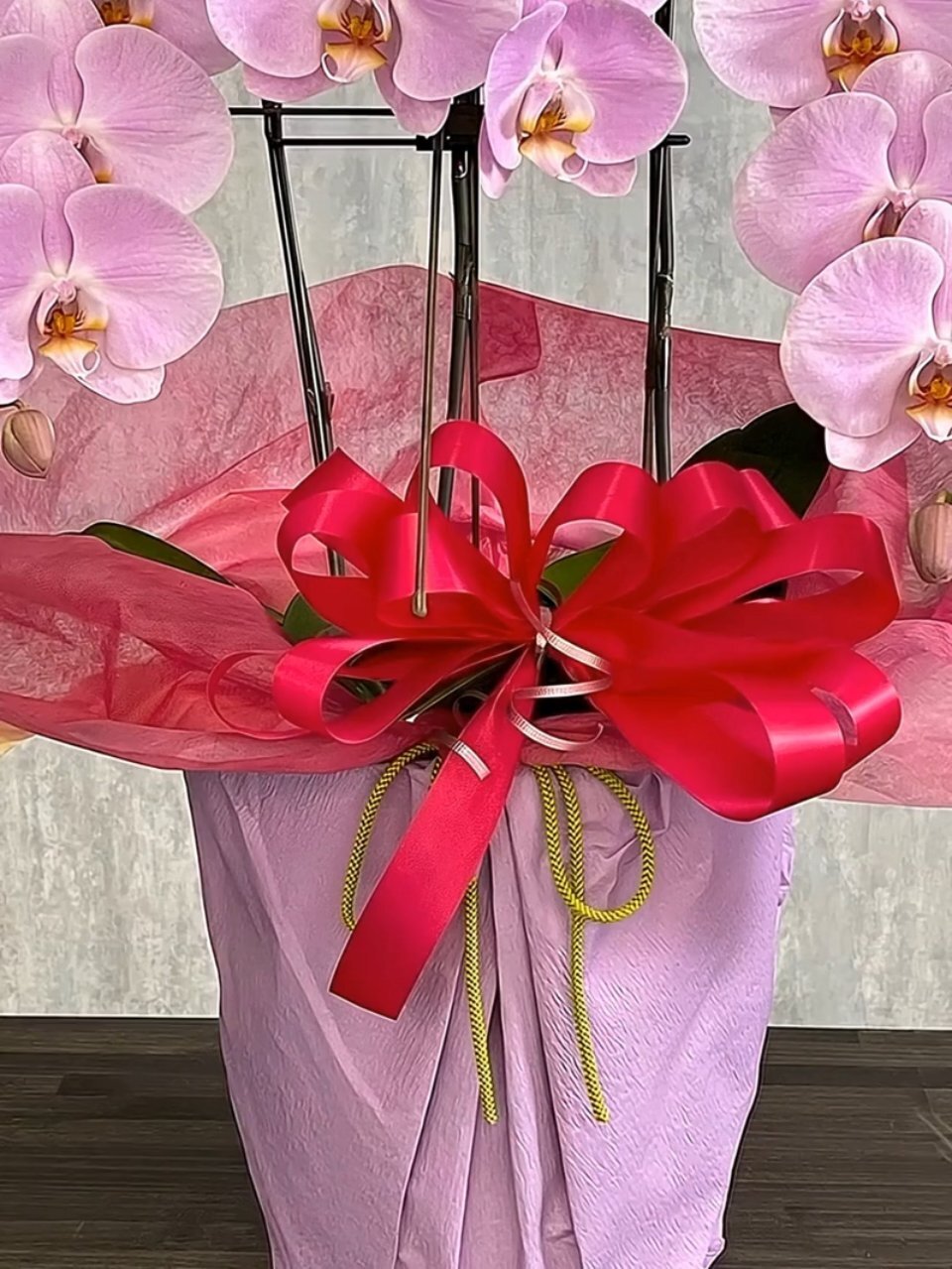 お祝い用】3本立ちピンク系胡蝶蘭 | 広島花屋オンラインショップ花将