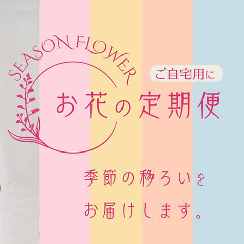 ”今回はスキップする”が選択できる！